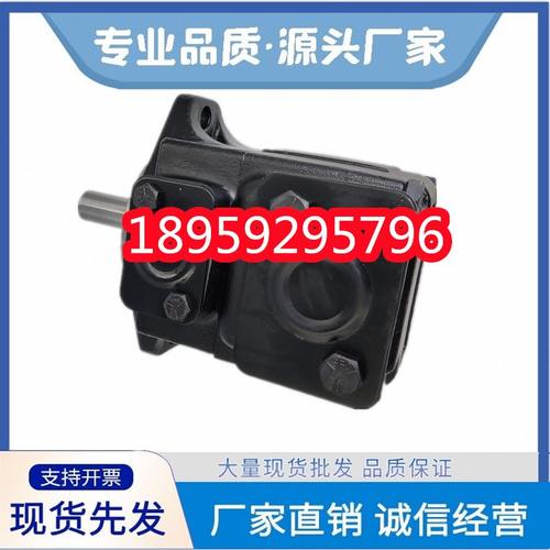 C-0R液压泵T-8油泵0丹N0/0泵00616-ON/T30I-0B尼逊定1DE量C65S00