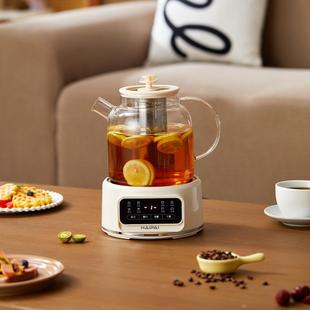 海牌全玻璃养生壶多功能花茶壶家用办公室小型花茶器烧水壶炖