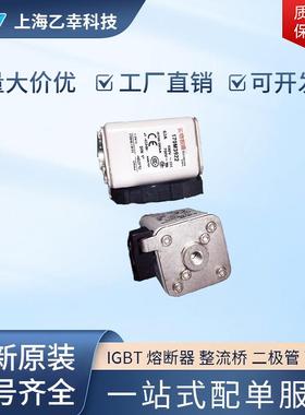 巴斯曼熔断器 170M3969 170M3970 170M3971 170M3972 170M3973