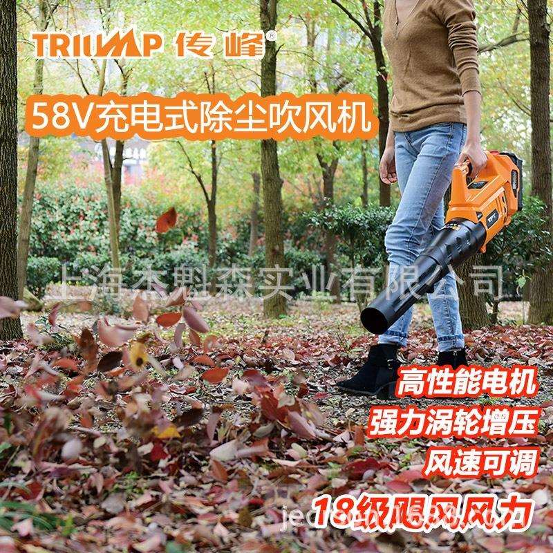 传峰TPBL5605 58V手提风机大功率充电式风机无线鼓风机