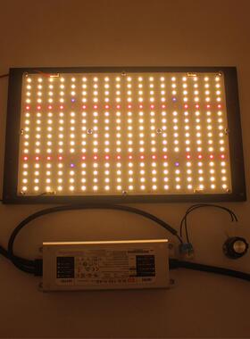 125W LM301H + 660nm uv ir LED 量子板植物灯 配明纬XLG电源