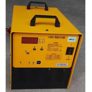 E72V30A智能自动观光车堆高车搬运车电瓶自动充电机 施能CZB5C