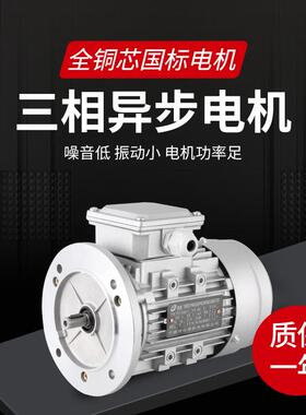 旭派Y2/YE2-71M2-4/YS7124三相异步电动机380V国标0.37KW铜线电机