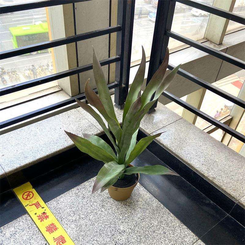 北欧仿真盆栽多肉类植物龙舌兰铁景观酒店软装民宿装饰叶盆景摆件