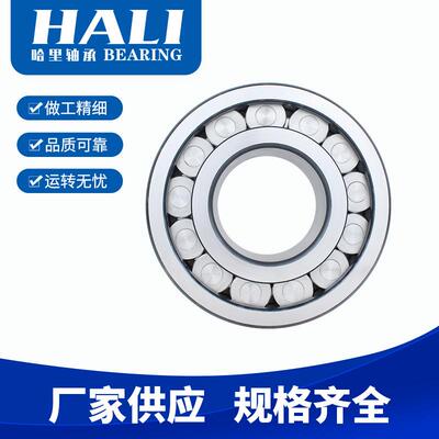 现货供应SL192324A轴承 满装圆柱滚子轴承 滑轮用轴承