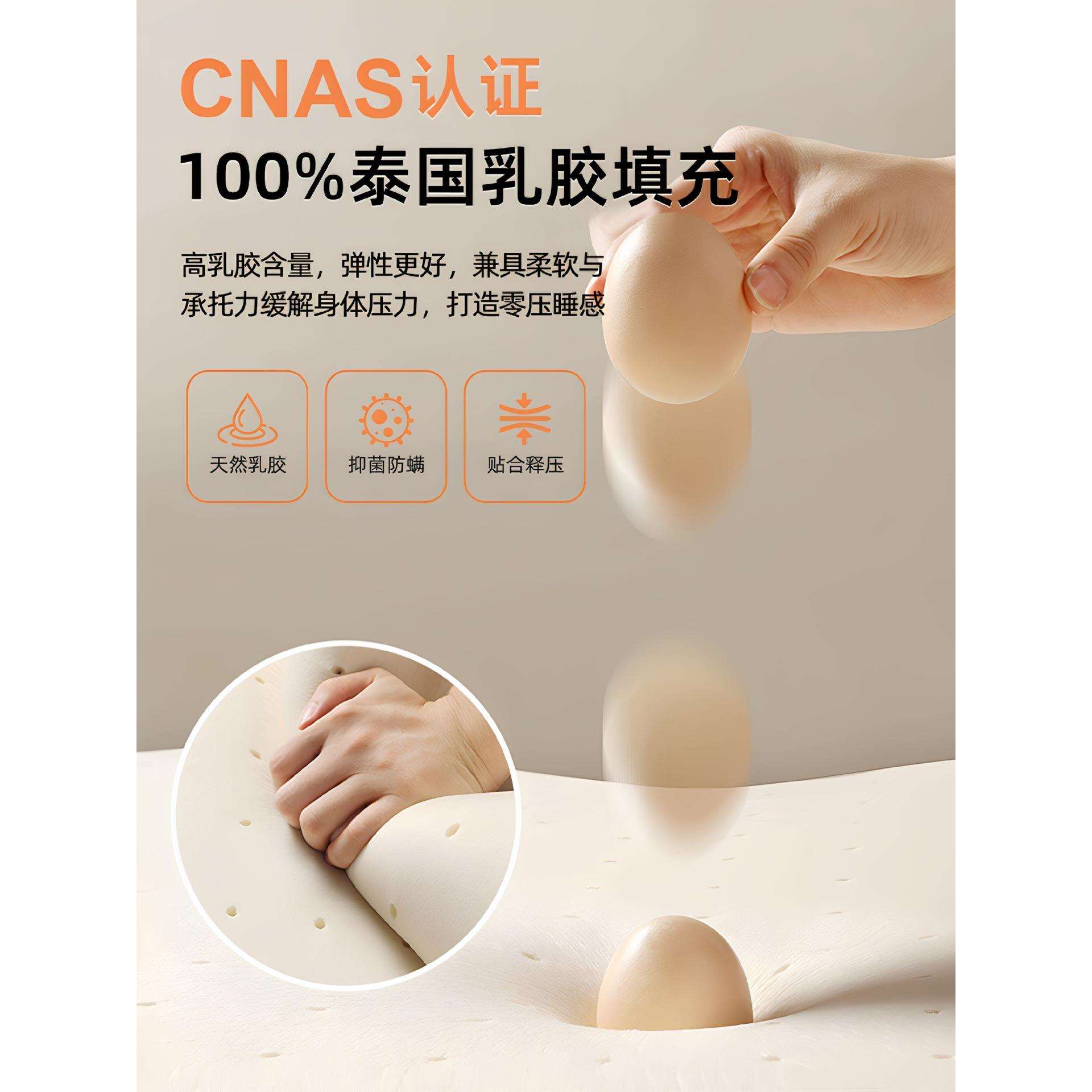 床垫软垫家用租房020榻榻米宿舍专用180记忆棉单人乳胶x学生卧室