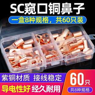 美规铜鼻子端子 170pcs盒装环形接线片 蓄电池铜鼻接线端子SC套装