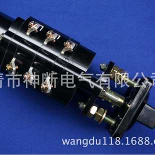 Z1a46a 3节 转换开关 温州长江开关厂 LW2D