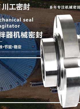 旁入式侧式搅拌机 TD3-15/200AEB-95 搅拌器专用机械密封