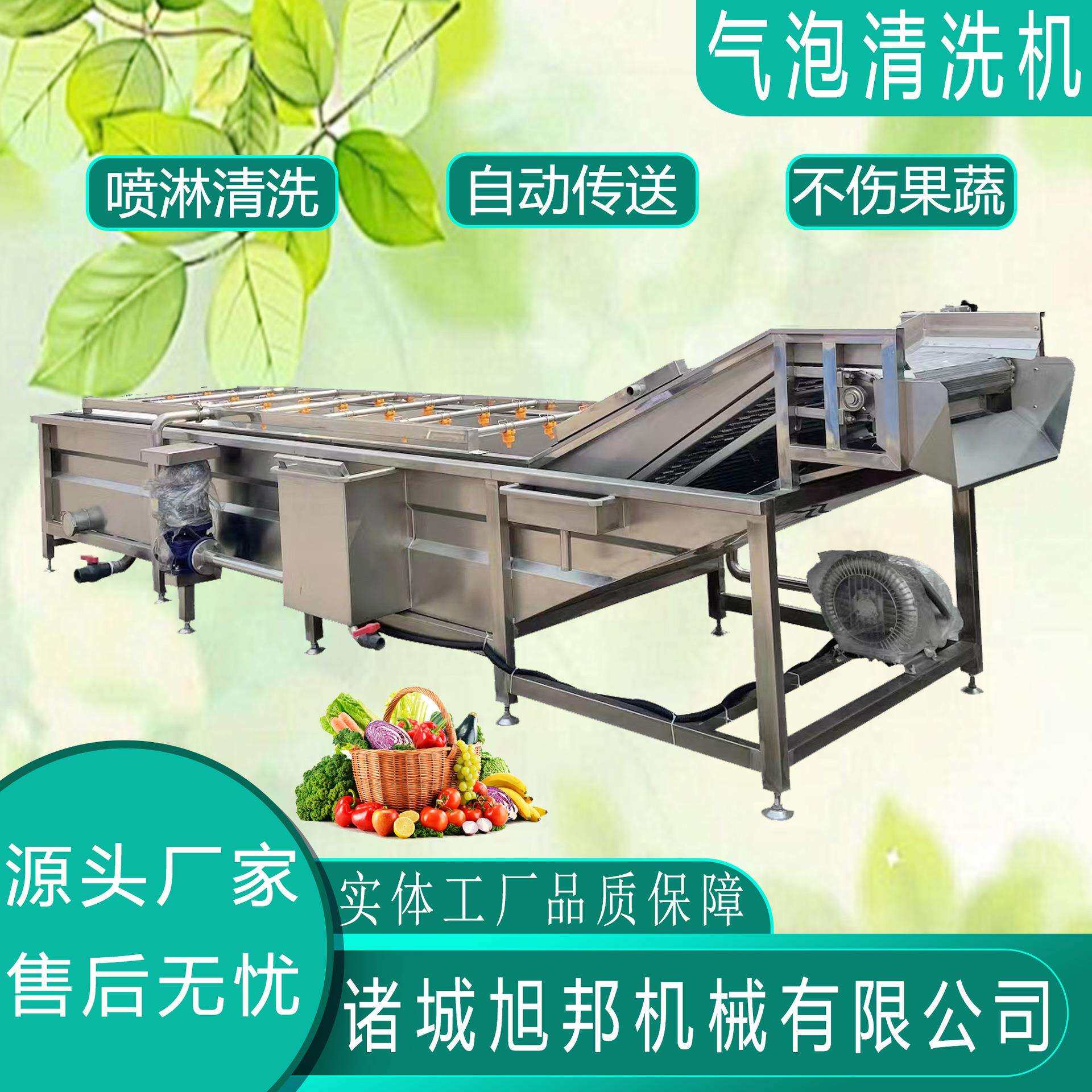 蔬菜鼓泡翻浪清洗设备 喷淋式辣椒气泡清洗机 西红柿高压清洗机器