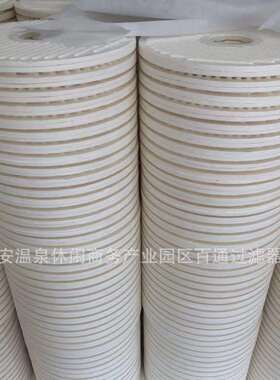 脱色滤芯 CJC滤油机滤芯 CJC滤芯 BLAT27/27 B27/27 PA5601301