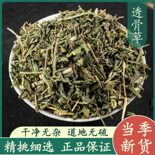 透骨草50g中药材正品新鲜干货精选透骨草粉中草药泡脚珍珠透骨草