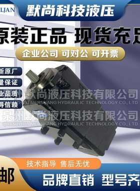 进口印度液压泵VELJAN维京VT6DC -045-028 1R00 B1双联叶片泵油泵