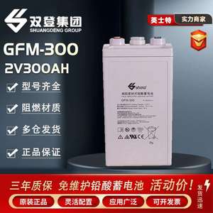 双登蓄电池GFM-300电力工程直流系统2V300AH发电站紧急电源直流屏