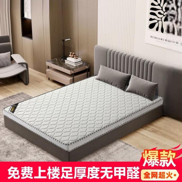 天然椰棕加硬床垫宿舍公寓儿童家用1.5米棕垫折叠家居偏硬乳胶