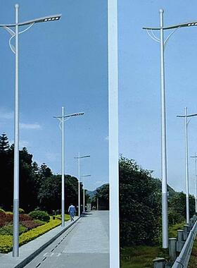 LED路灯6米自弯臂5米8米新农村改造道路灯单头 双头灯头高杆路灯