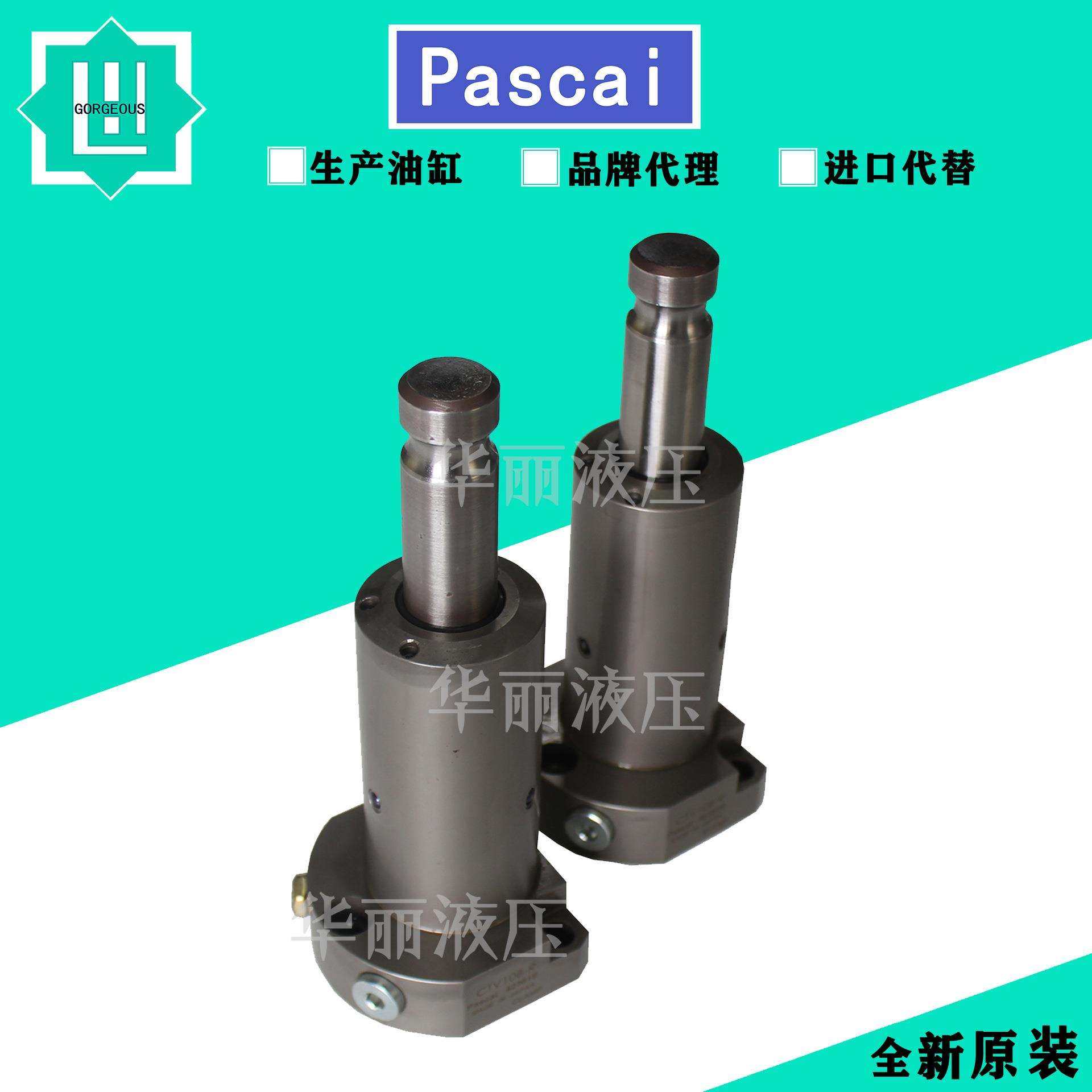 PASCAL 帕斯卡液压缸 CTV10B-R支撑缸 油缸CSY03-L CSU CST CSS12
