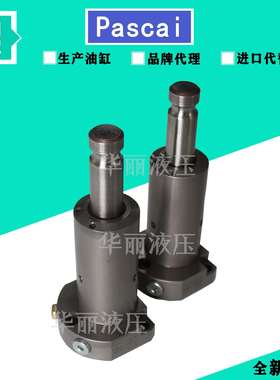 PASCAL 帕斯卡液压缸 CTV10B-R支撑缸 油缸CSY03-L CSU CST CSS12