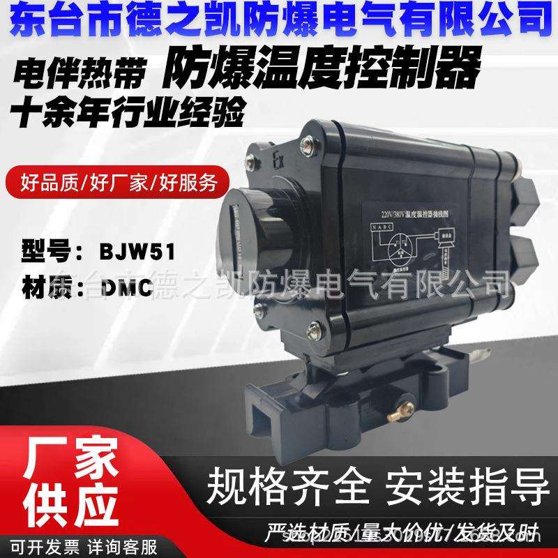 BJW51防爆电热带伴热带专用防爆温度控制器220V/380V可调温