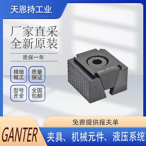 GANTER 德国 甘特 GN 508.1-8-M6 气动夹具 螺栓 夹钳