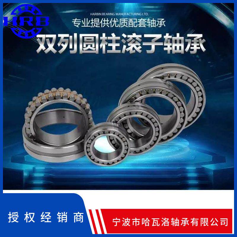 HRB NN3015 KP5W33 D3182115K哈尔滨双列圆柱内径锥孔机床轴
