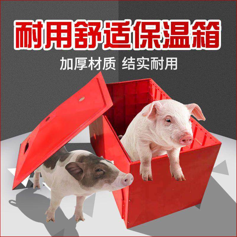 仔猪保温箱小猪塑料加厚猪用取暖箱塑钢保温箱母猪产床养殖设备