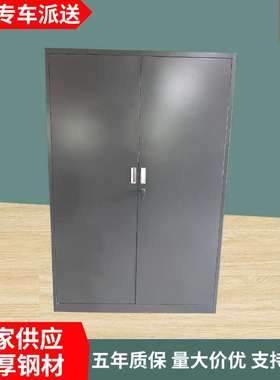 钢材文件柜办公室黑色置物柜带锁储物档案柜工具收纳抽屉柜资料柜