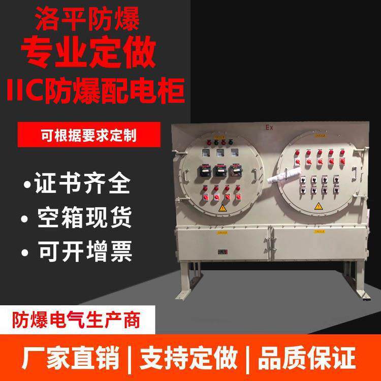 防爆照明配电箱 防爆接线箱/动力检修箱/操作柱/电源开关箱