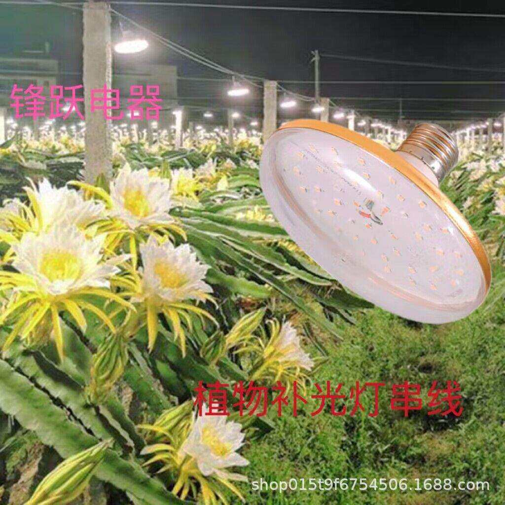火龙果补光灯串线LED植物生长灯花卉绿植仿太阳光灯蔬菜大棚灯