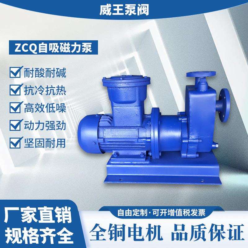 厂家直销不锈钢自吸式磁力泵ZCQ65-50-160无泄漏耐腐蚀ZCQ型