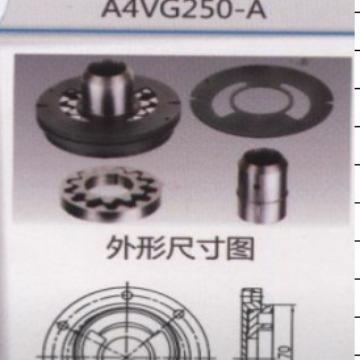 适用 REXROTH 力士乐 A4VG250 补油泵
