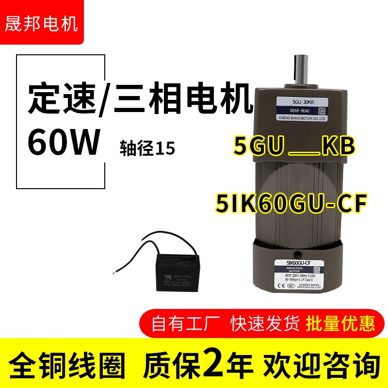 减速电机60W单相220V齿轮定速马达B5IK60GU-CF低速搅拌小电机晟邦