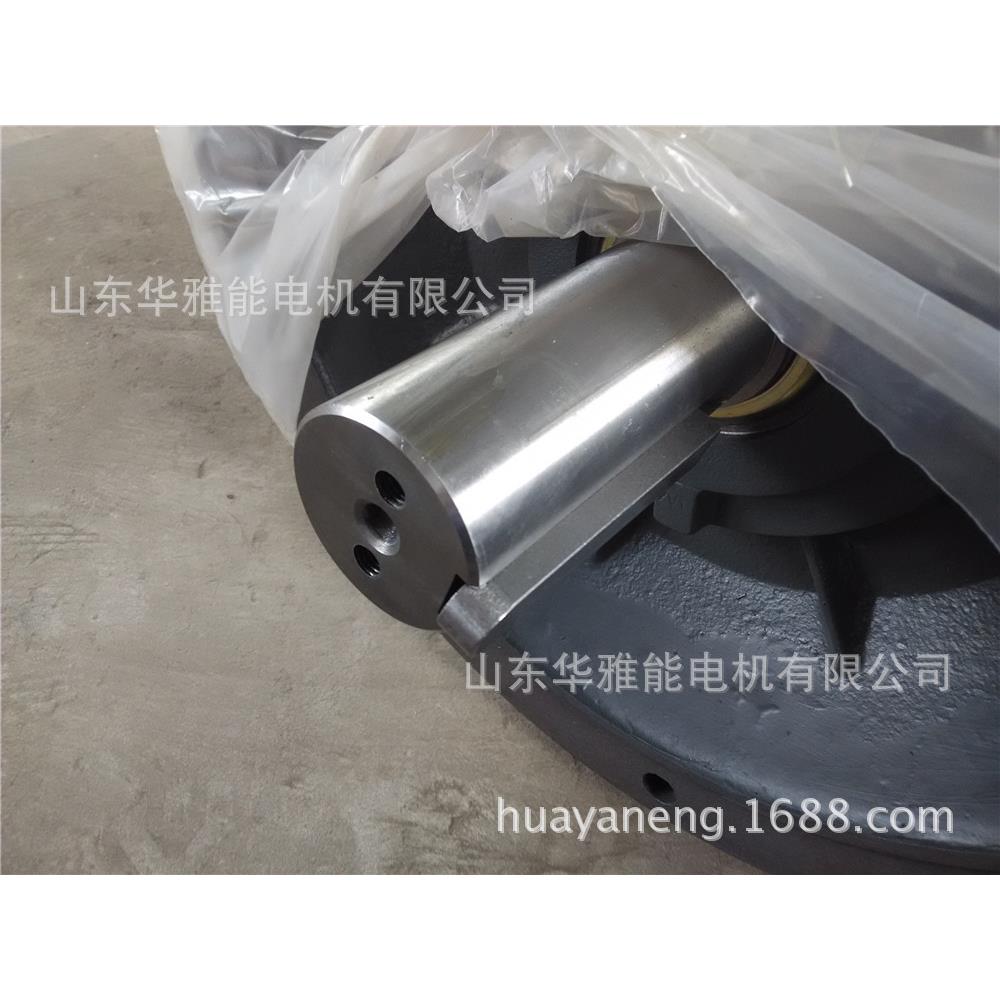 YE3-200L1-2-30KW电机B8安装YE3新型电机电机轴伸端自带轴用档圈