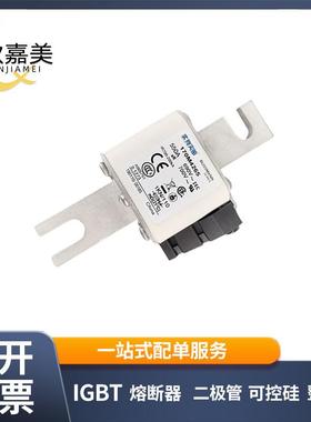 170M4265 170M4266 快速熔断器 电子元器件 库存充足 量大价优