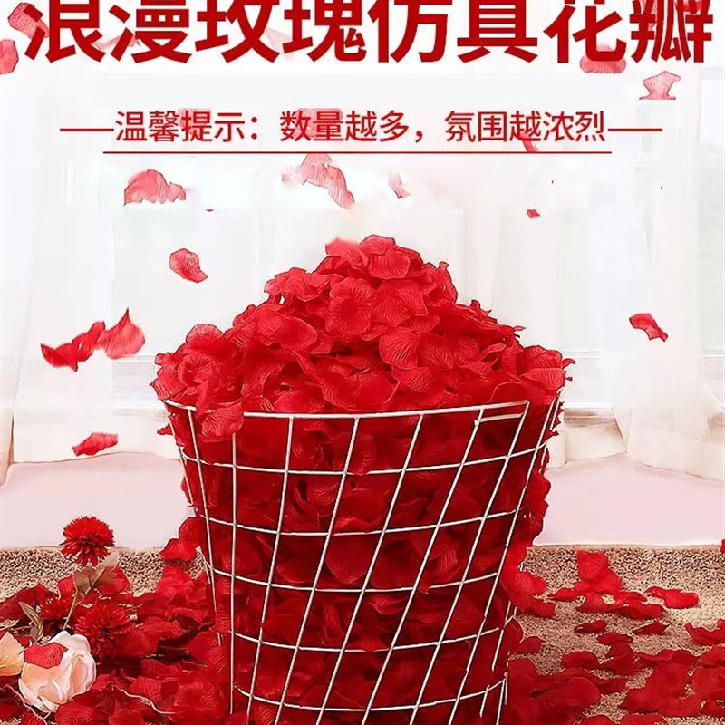 防真玫瑰花瓣生日装饰花瓣片表白装饰结婚房S间情人节求婚花瓣