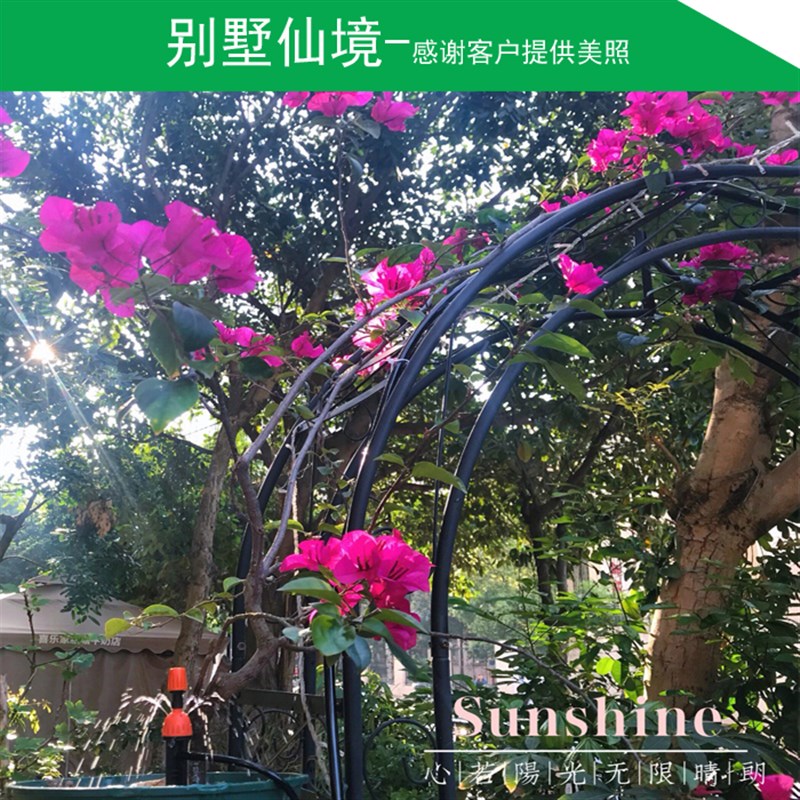 自动浇水浇花定时器花园阳台智能滴F灌菜地喷淋微喷喷头雨水感应