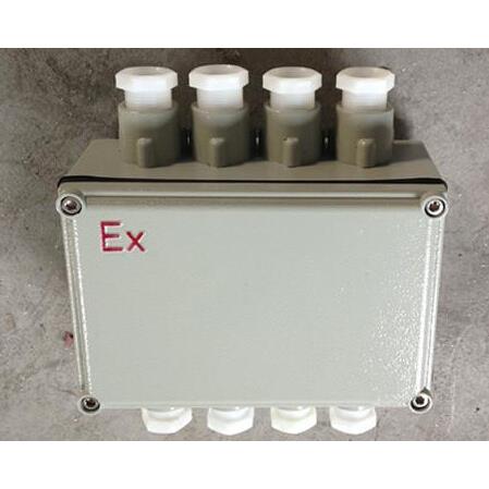 135*135增安型防爆接线箱 200*200防爆空箱 300*300隔爆型接线箱