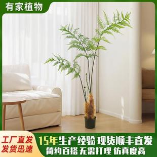 仿真大型绿植猴头蕨金丝蕨家居装饰摆件植物假树马尾蕨落地盆栽