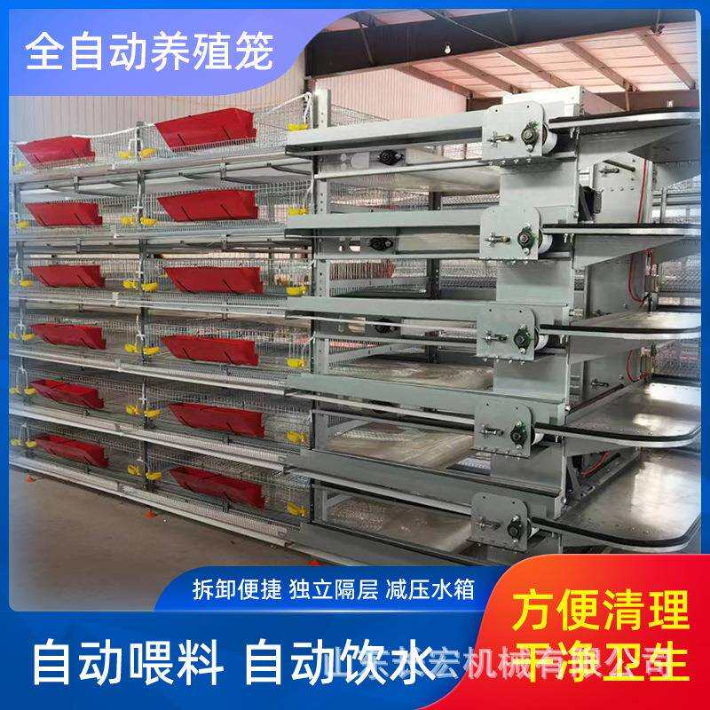 蛋鸡笼全自动立式鸽子笼鹌鹑养殖育雏笼养殖场自动喂料肉鸡笼