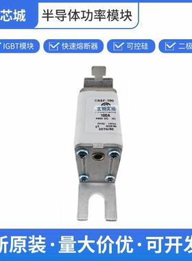 高压直流熔断器 保险丝 巴斯曼 GBSF-100 原装进口批次22+