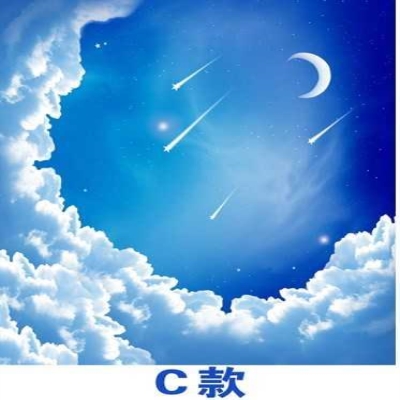 墙纸贴纸棚顶装饰天花板吊顶自粘自然风景图案房顶清新客厅壁布