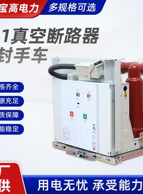 户内真空断路器系列 VS1真空断路器-固封手车10kv户内高压断路器