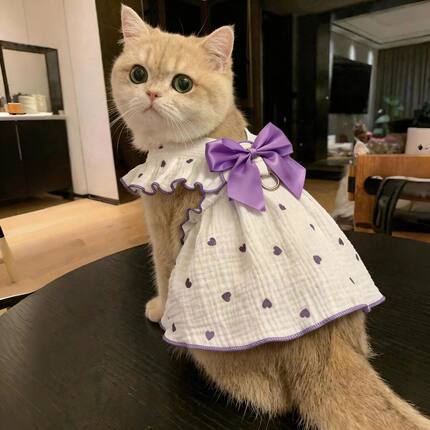猫咪衣服春夏季薄款透气狗狗连衣裙宠物小型犬可爱通用蝴蝶结日常