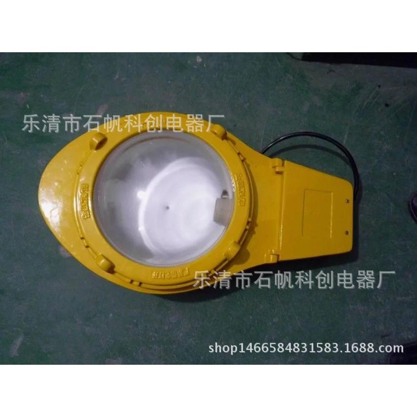 BLC8610防爆道路灯（IIC）马路灯 道路灯 BAM55LED-RY-T101