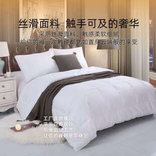 跨境酒店布草被芯宾馆民宿被子纯棉磨毛秋冬加厚被褥青年旅馆被子