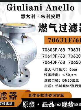 朱利安尼过滤器70631F/6B工业气体管道过滤器70610F/6B精度过滤棉