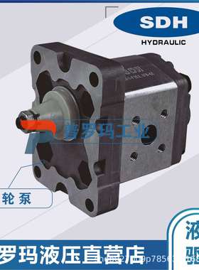 SDH齿轮泵液压泵油泵CBD1-F201.1 CBD1-F202.1 CBD1-204.2现货