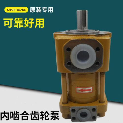 上海NT2/3/4/5-D32 G16F 100F 125F 80F 63F 40F 50F内啮合齿轮泵