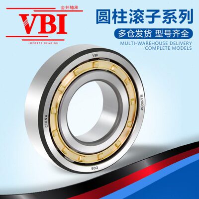 VBI圆柱滚子轴承NJ312 313 314 315 316 317 318 319