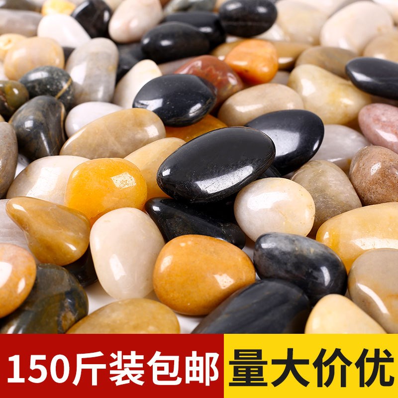 150斤鹅卵石小石头q五彩庭院铺垫鱼缸造景雨花石阳台石头铺地